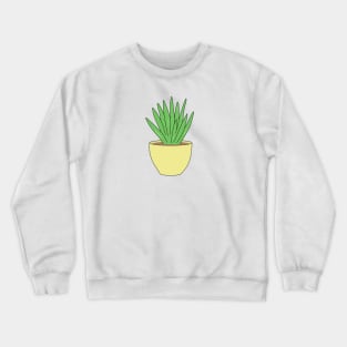 Home plant in a pot. Crewneck Sweatshirt